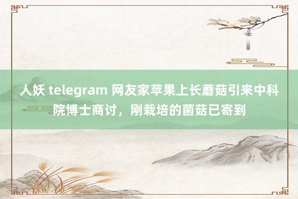 人妖 telegram 网友家苹果上长蘑菇引来中科院博士商讨，刚栽培的菌菇已寄到