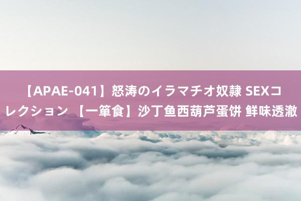 【APAE-041】怒涛のイラマチオ奴隷 SEXコレクション 【一箪食】沙丁鱼西葫芦蛋饼 鲜味透澈