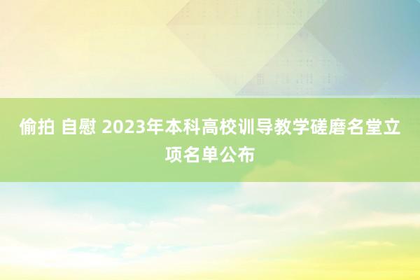 偷拍 自慰 2023年本科高校训导教学磋磨名堂立项名单公布