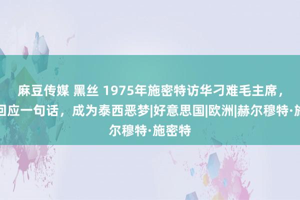 麻豆传媒 黑丝 1975年施密特访华刁难毛主席，主席回应一句话，成为泰西恶梦|好意思国|欧洲|赫尔穆特·施密特