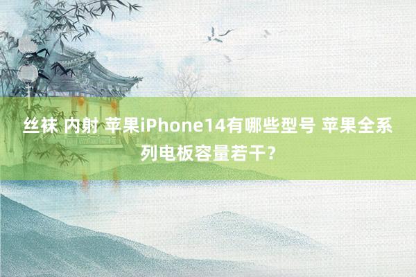 丝袜 内射 苹果iPhone14有哪些型号 苹果全系列电板容量若干？