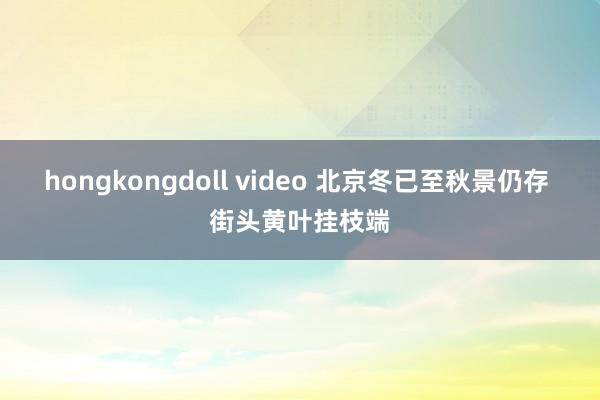 hongkongdoll video 北京冬已至秋景仍存 街头黄叶挂枝端