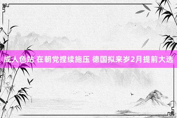 成人色站 在朝党捏续施压 德国拟来岁2月提前大选